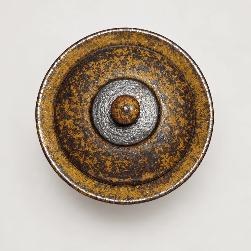 Antike Erde – japanisches handgemachtes Shigaraki-Yaki Hohin Gaiwan