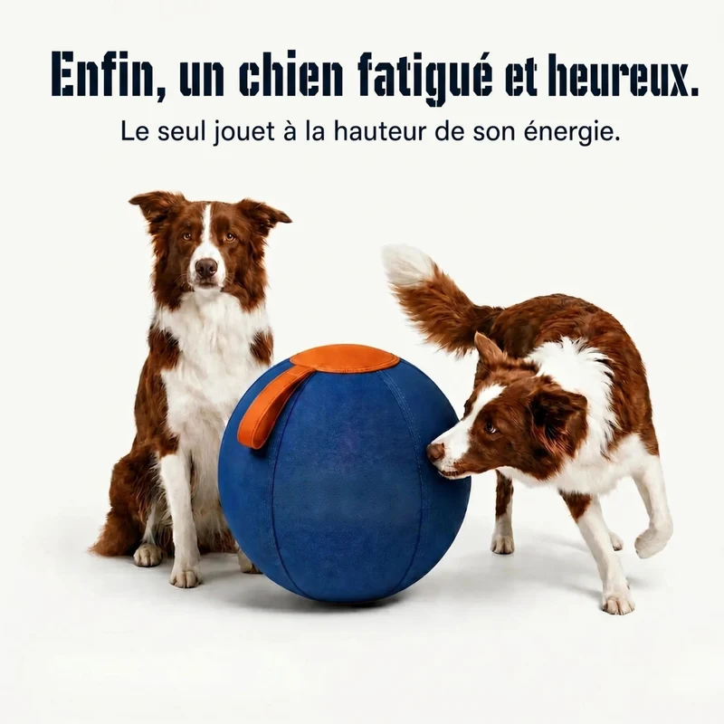 Balle interactive pour chien résistante