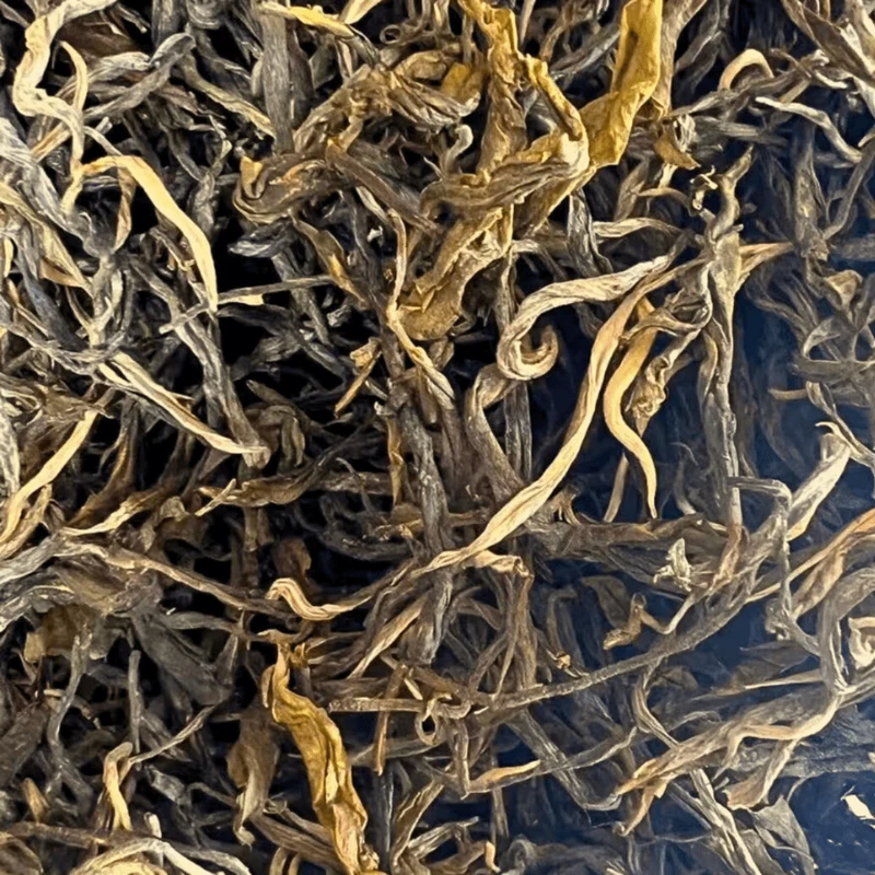 2025 Authentischer Laobanzhang Gushu Sheng Puerh