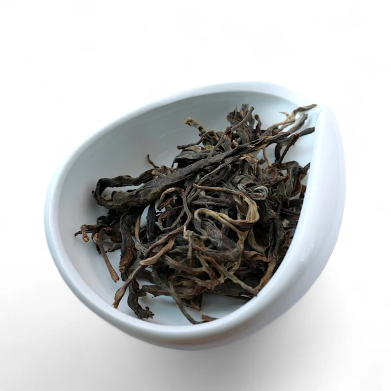2018 Ancient Tree Jingmai Raw Puerh