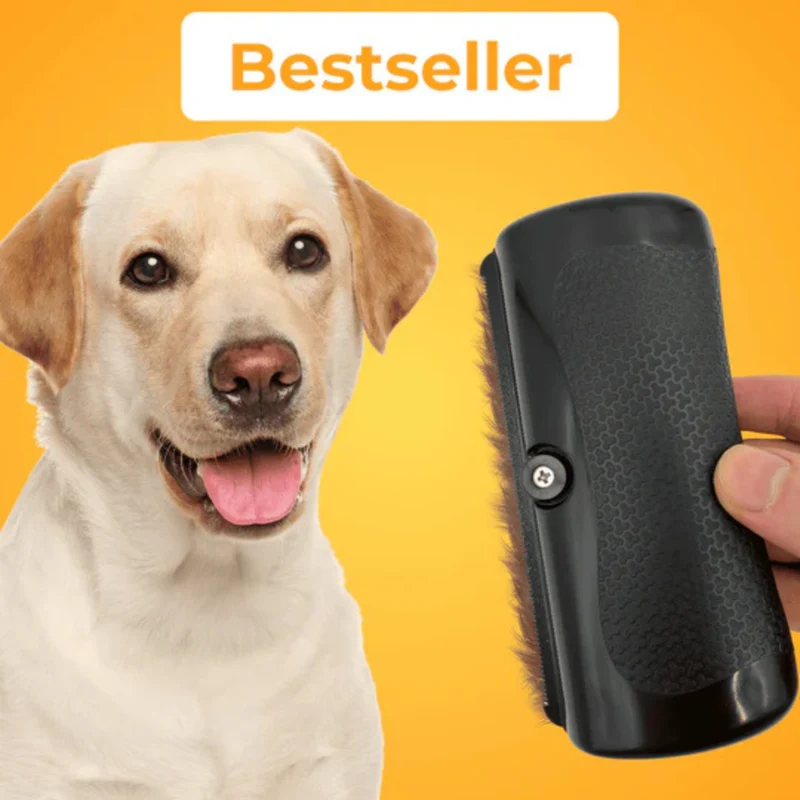 Brosse de toilettage pour chien