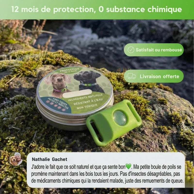 Pendentif de Protection – Protection Naturelle 12 Mois pour Chiens