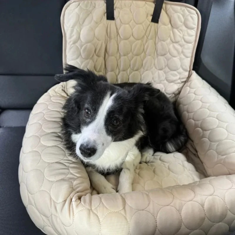 Siège auto rafraîchissant pour chien