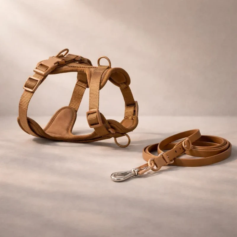 Harnais anti-traction avec laisse pour chien