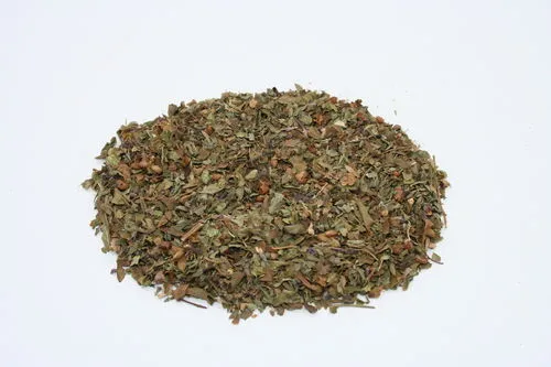 Original indisches Tulsikraut