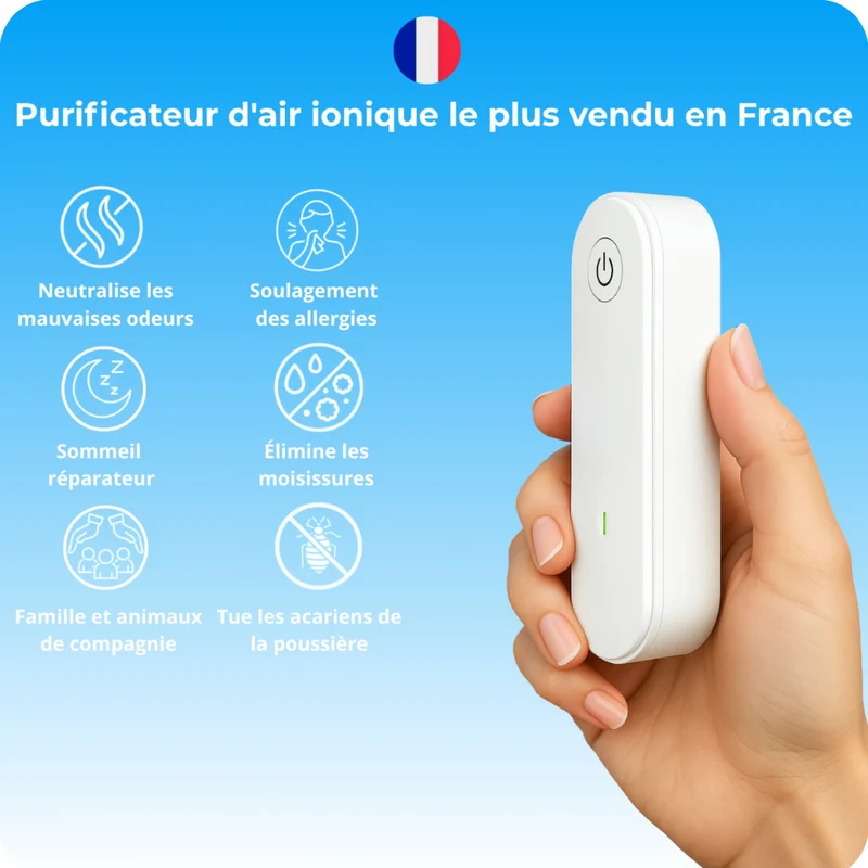 Purificateur d'air portable