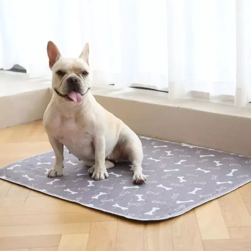 Tapis Hygiénique Absorbant pour Chien