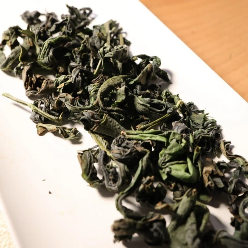 Miyazaki Bio Minami Sayaka Oolong