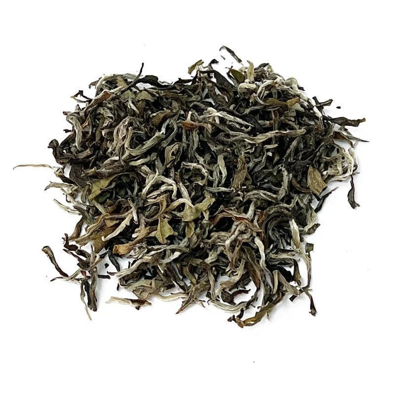 White Forest - Bio-Weißtee aus Nepal
