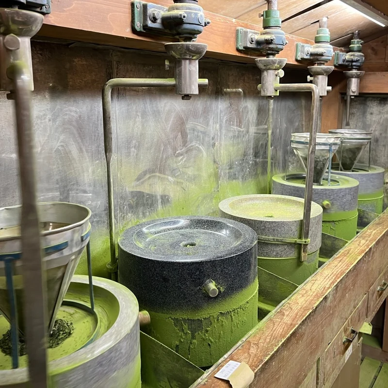 Bio-Sae Midori Handverlesener Zeremonieller Uji Matcha