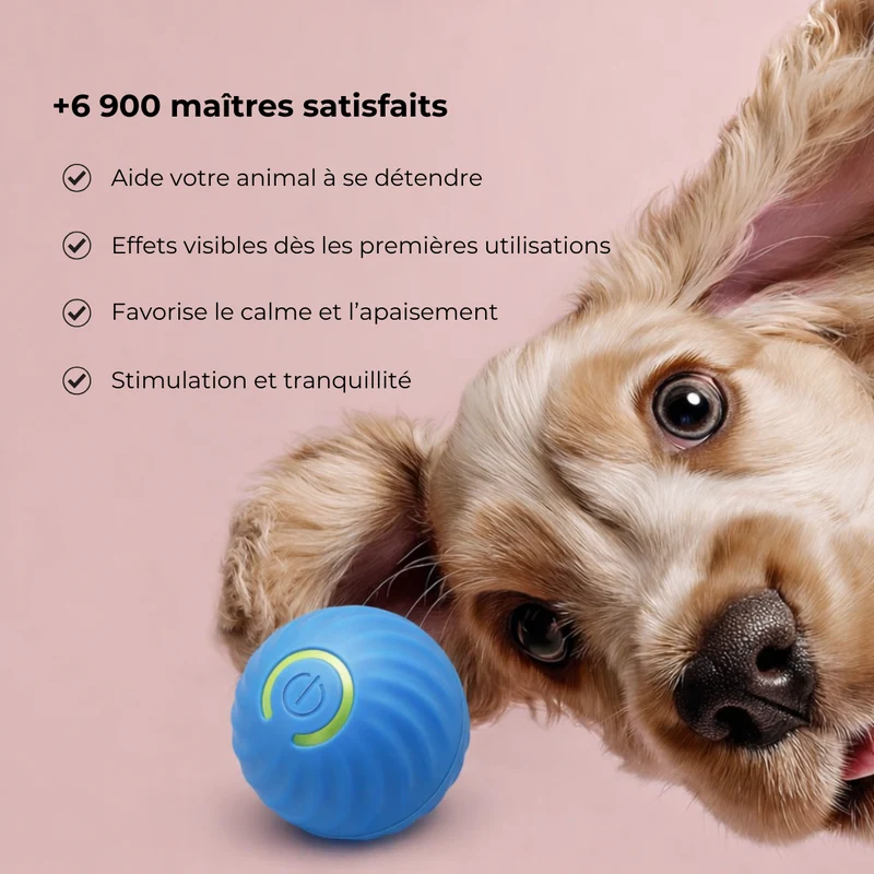 Balle interactive apaisante pour chien
