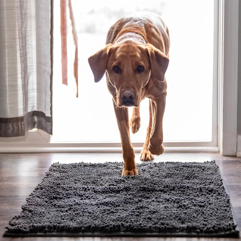 Tapis absorbant pour pattes de chien et chat