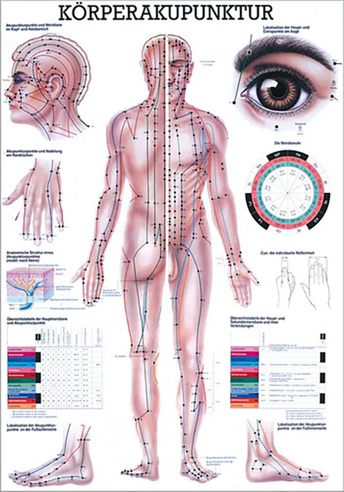 Körperakupunktur (Poster 50cm x 70cm)