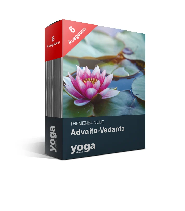 Advaita-Vedanta – 6er Bundle