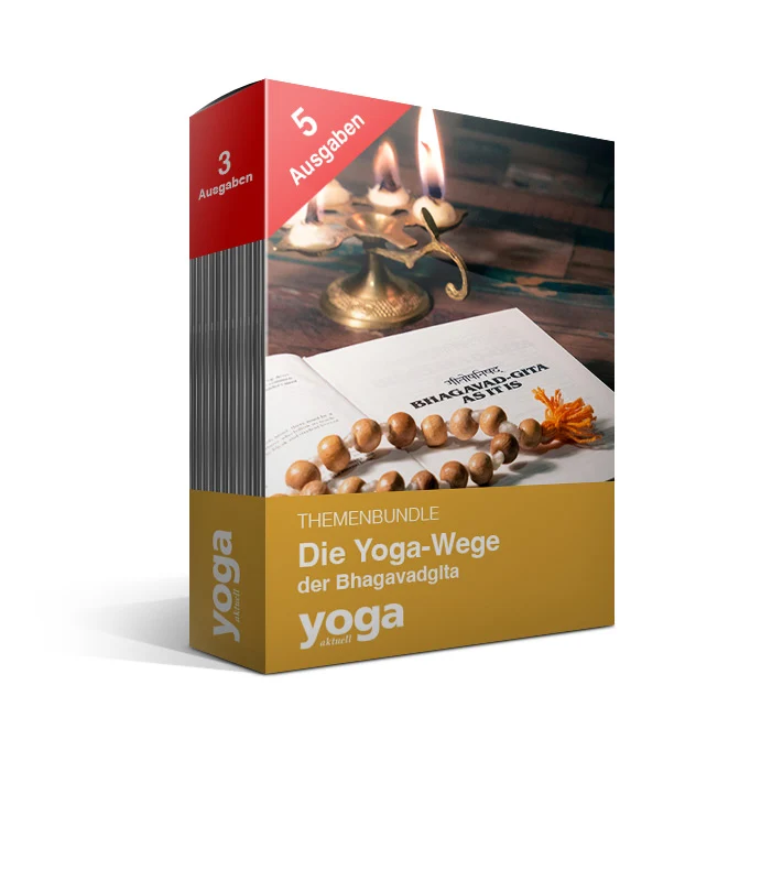 Dr. Eckard Wolz-Gottwald: Die Yoga-Wege der Bhagavadgita - 5er Bundle