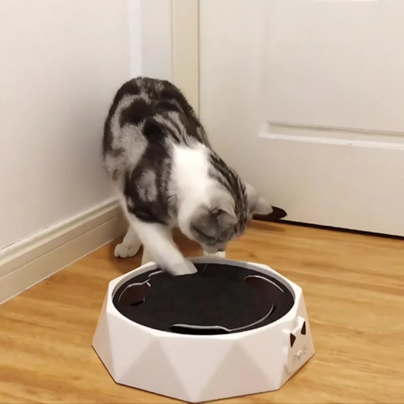 Jouet interactif pour chat avec souris rotative