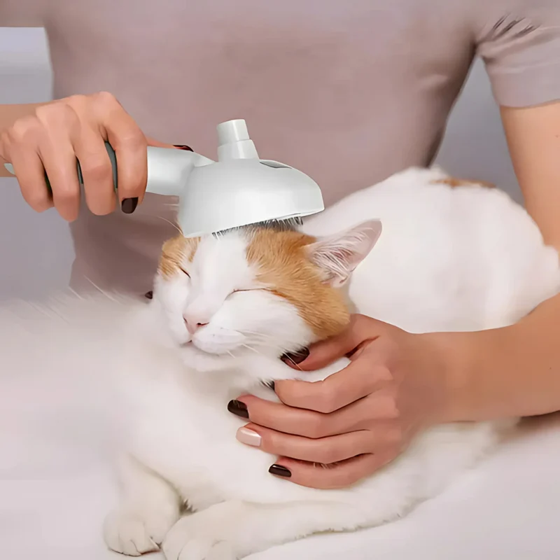 Brosse de soin pour chiens & chats