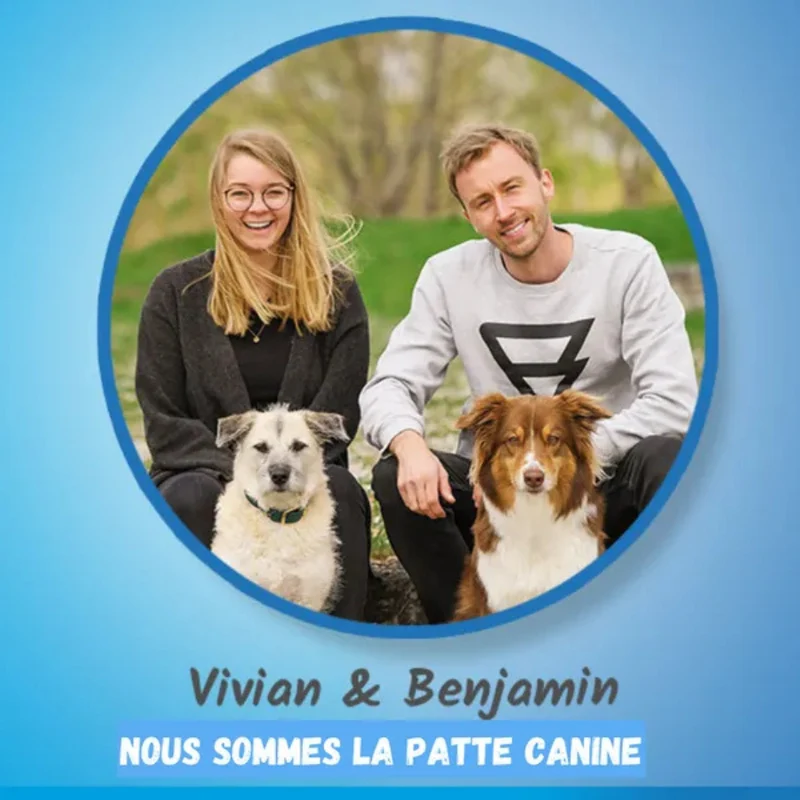 Brosse vapeur anti-poils pour chiens et chats
