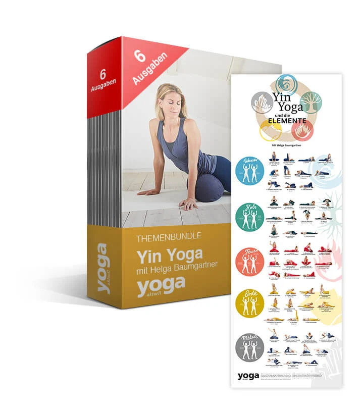 Yin Yoga mit Helga Baumgartner - 6er Bundle + Yin Yoga Poster