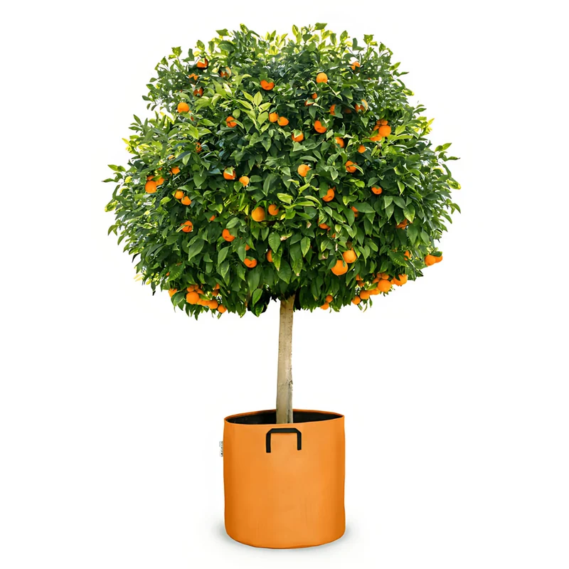 Pot auto-arrosant évolutif