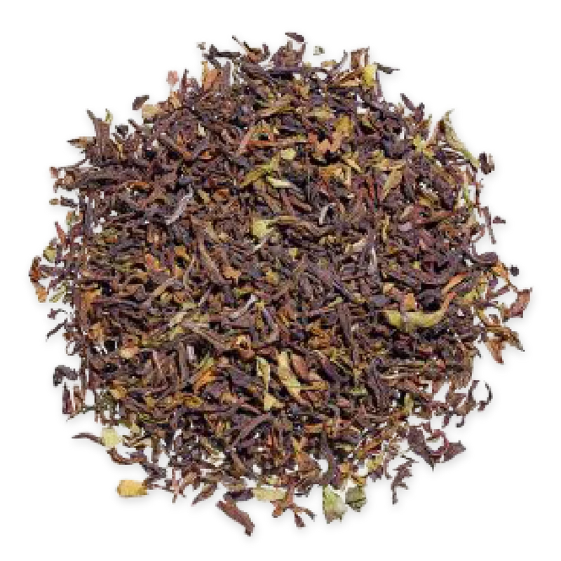 Spring Darjeeling