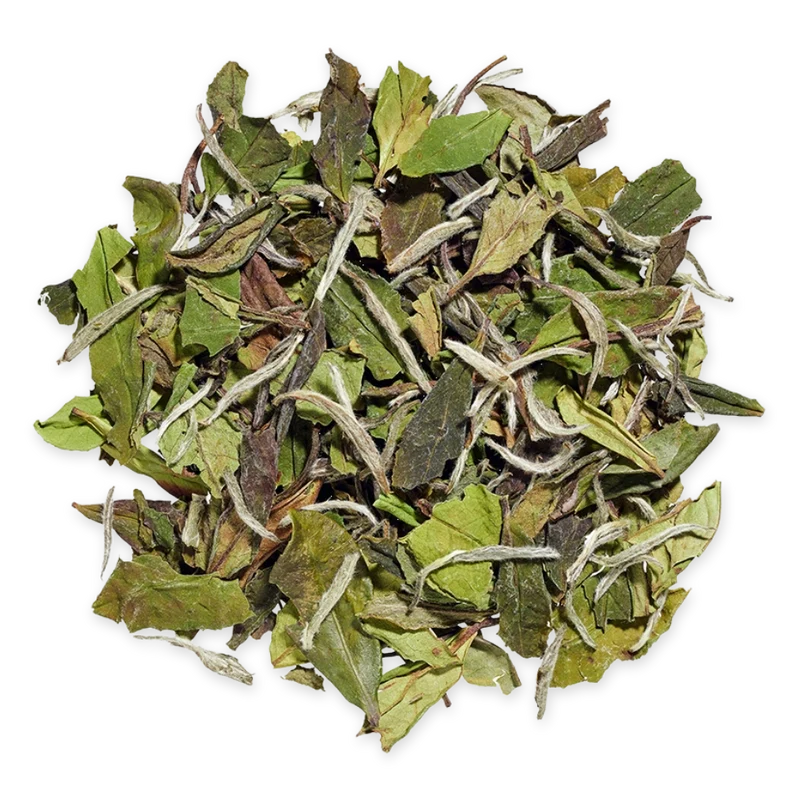 Pai Mu Tan
