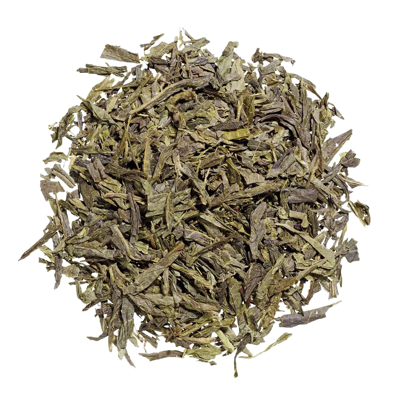 Sencha
