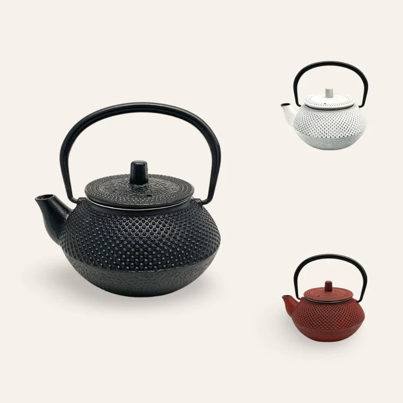Japanische Teekanne aus Gusseisen, 300 ml