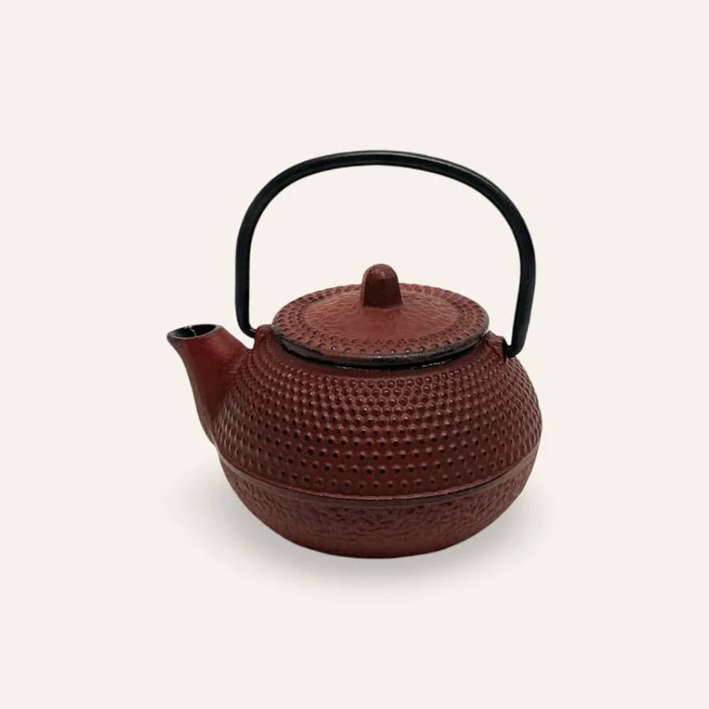 Japanische Teekanne aus Gusseisen, 100 ml