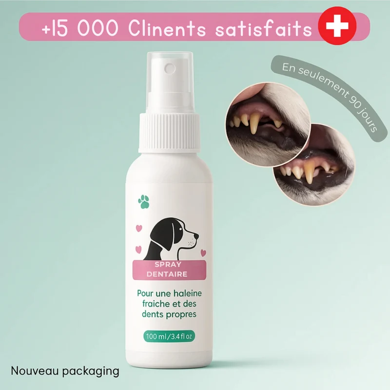 Spray dentaire naturel pour chien – Anti-tartre & haleine fraîche