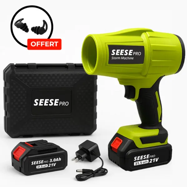 Souffleur électrique compact sans fil