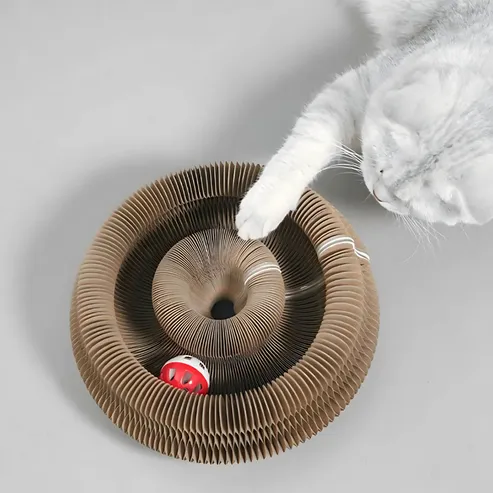 Jouet à griffer interactif pour chats