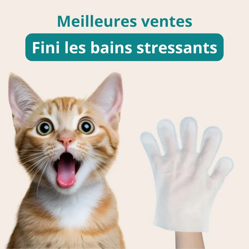 Boîte de gants nettoyants pour animaux