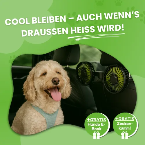 Ventilateur pour chien pour la voiture