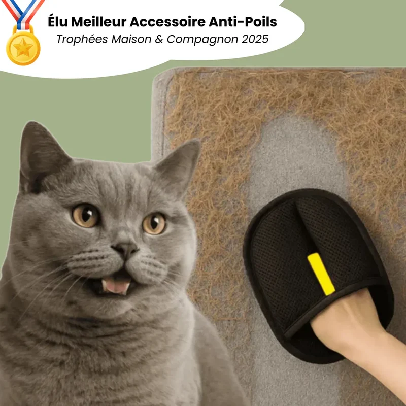 Gant anti-poils réutilisable