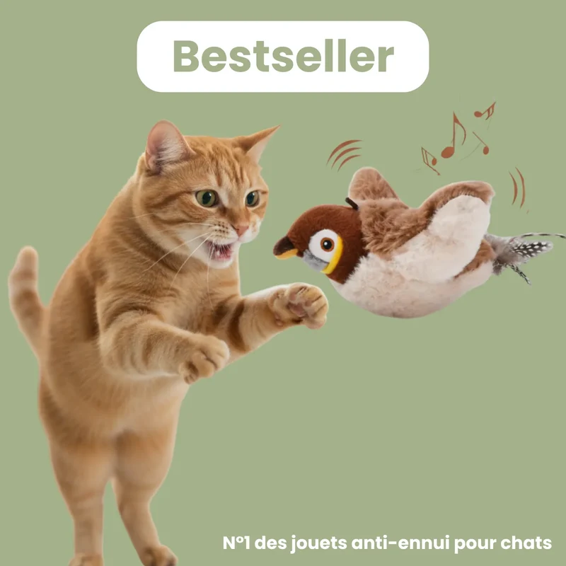 Jouet Volant Interactif pour Chat