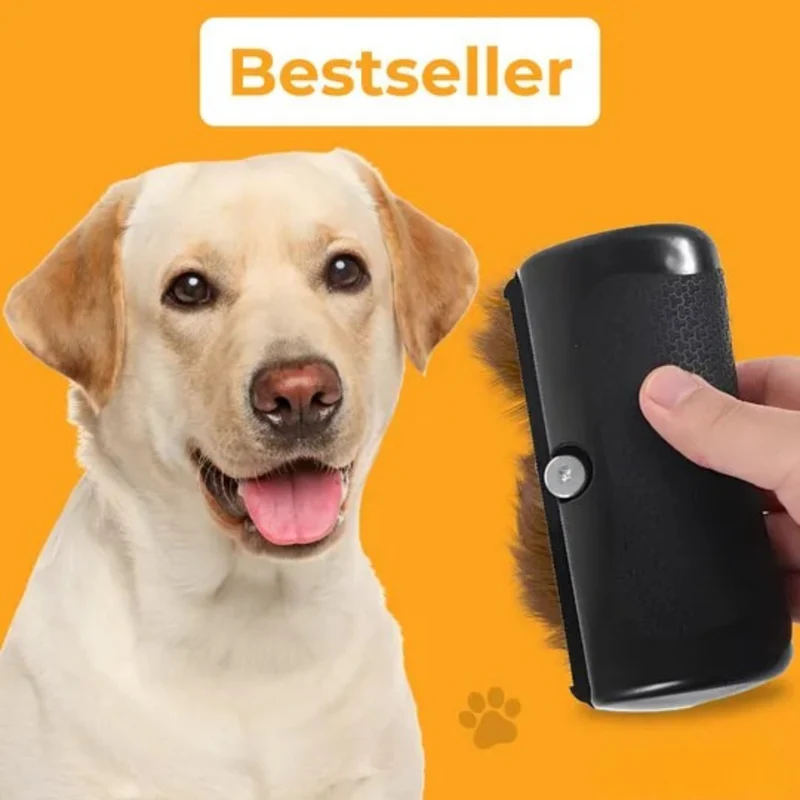 Brosse auto-nettoyante pour animaux