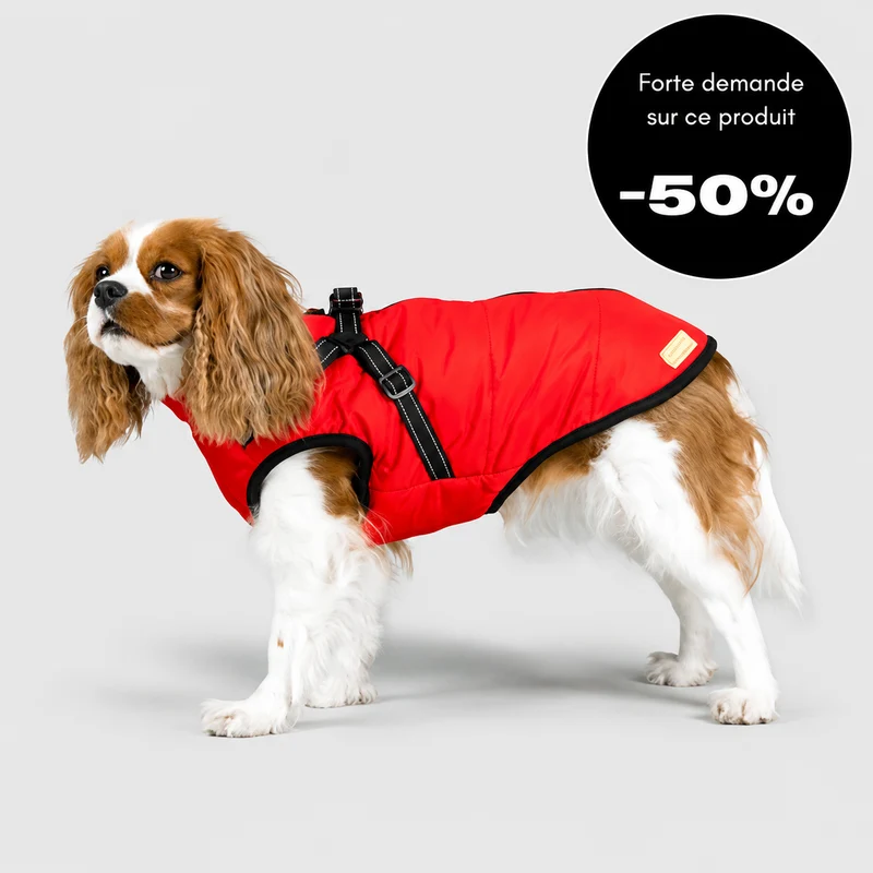 Veste d’hiver 2 en 1 pour chien