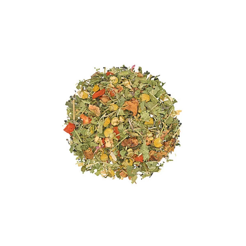 Schmuddelwetter | BIO | Kräutertee