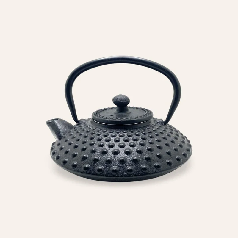 Japanische Teekanne aus Gusseisen, 0,45 l