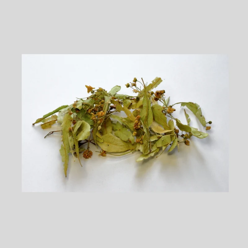 Steinlindenblüten, ganz | Kräutertee